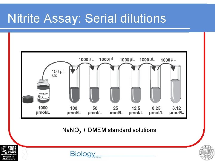 Nitrite Assay: Serial dilutions Na. NO 3 + DMEM standard solutions 