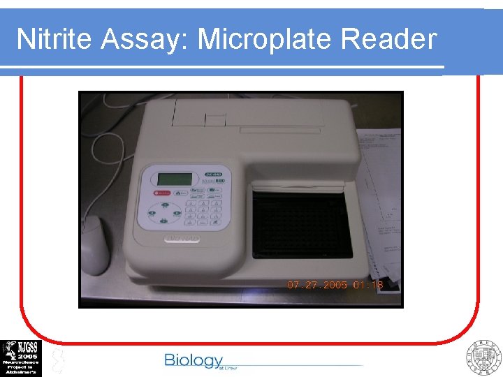 Nitrite Assay: Microplate Reader 