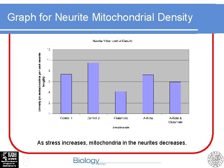 Graph for Neurite Mitochondrial Density As stress increases, mitochondria in the neurites decreases. 