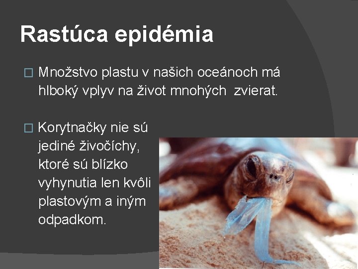 Rastúca epidémia Množstvo plastu v našich oceánoch má hlboký vplyv na život mnohých zvierat.
