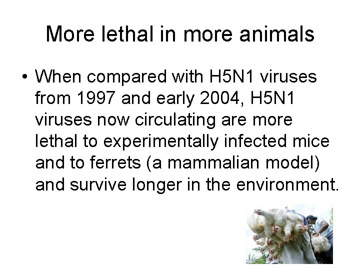 More lethal in more animals • When compared with H 5 N 1 viruses