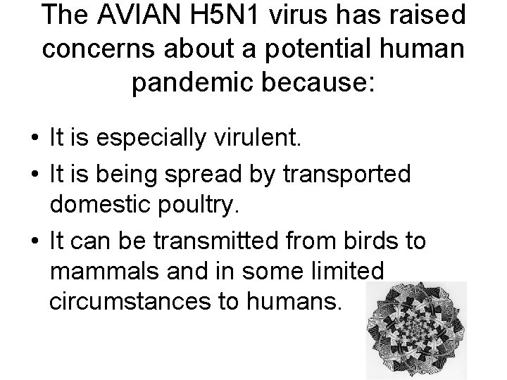 The AVIAN H 5 N 1 virus has raised concerns about a potential human