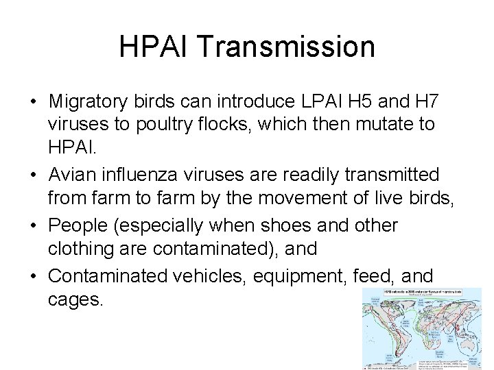 HPAI Transmission • Migratory birds can introduce LPAI H 5 and H 7 viruses
