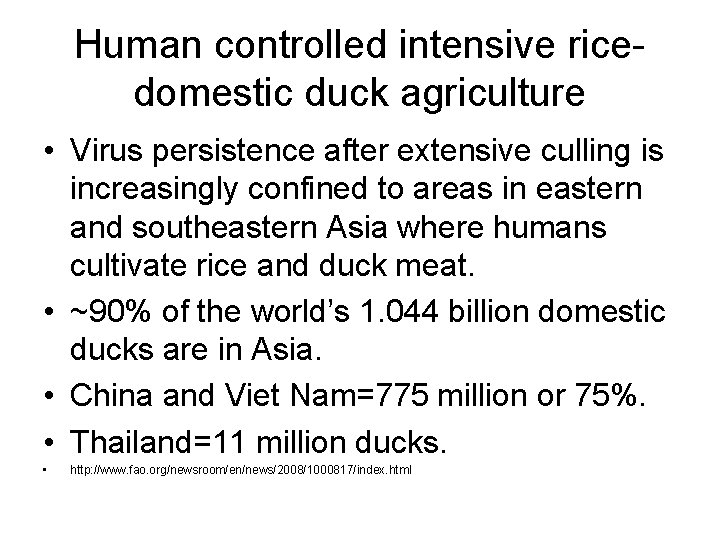 Human controlled intensive ricedomestic duck agriculture • Virus persistence after extensive culling is increasingly