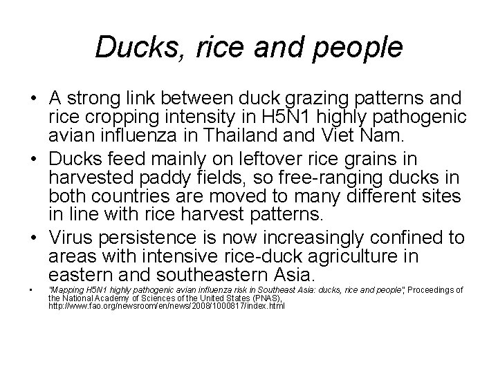 Ducks, rice and people • A strong link between duck grazing patterns and rice