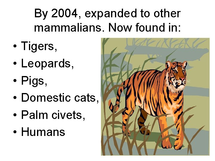 By 2004, expanded to other mammalians. Now found in: • • • Tigers, Leopards,