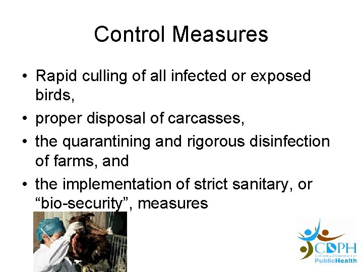 Control Measures • Rapid culling of all infected or exposed birds, • proper disposal