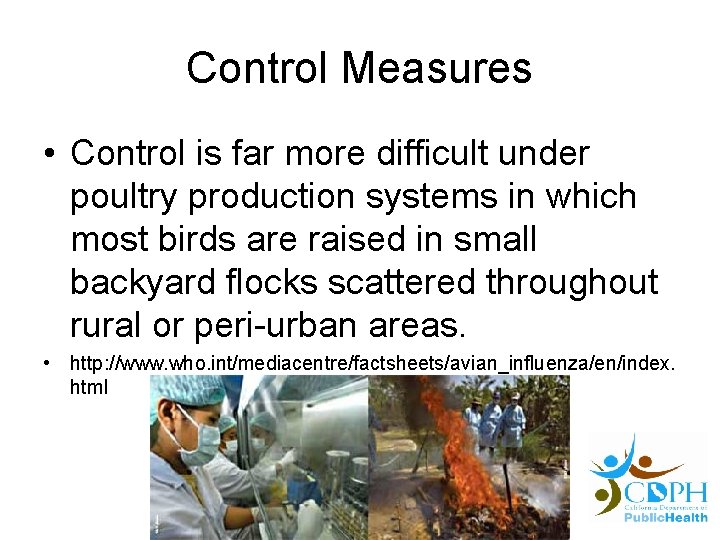 Control Measures • Control is far more difficult under poultry production systems in which