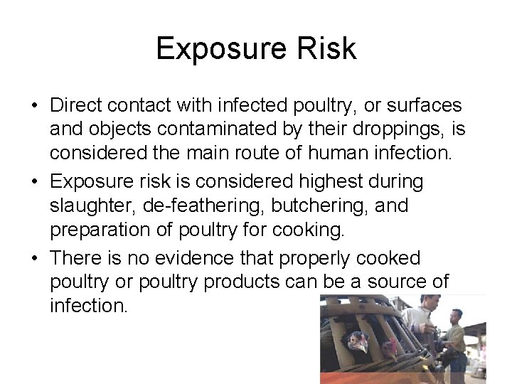 Exposure Risk • Direct contact with infected poultry, or surfaces and objects contaminated by