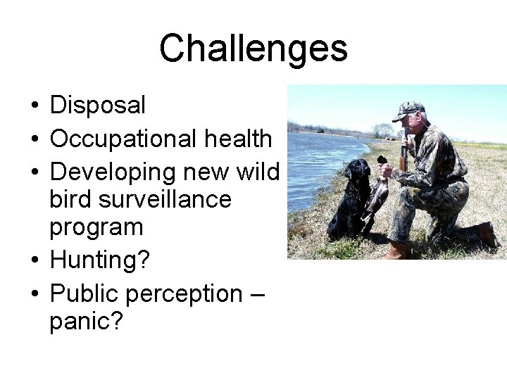 Challenges • Disposal • Occupational health • Developing new wild bird surveillance program •