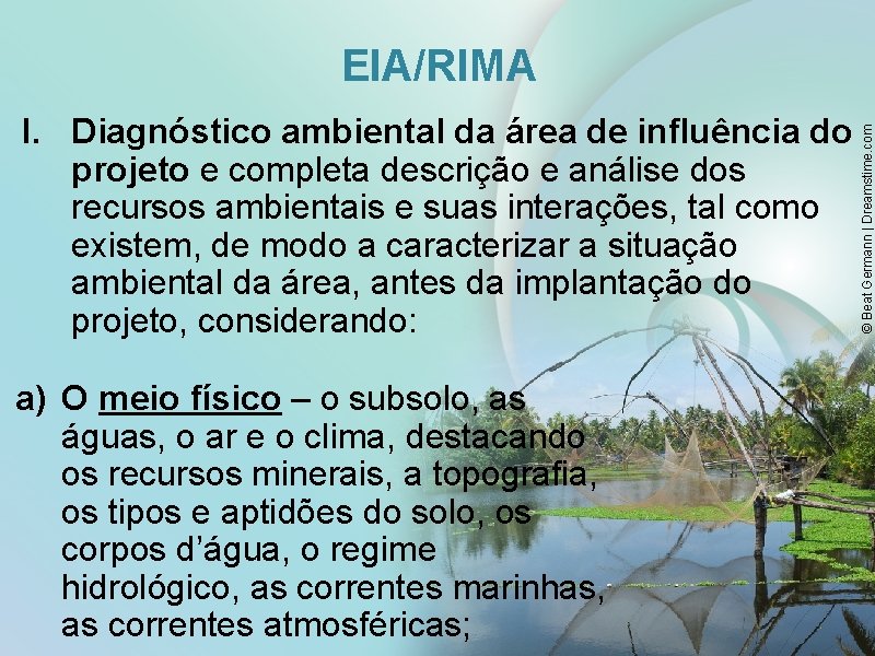 I. Diagnóstico ambiental da área de influência do projeto e completa descrição e análise
