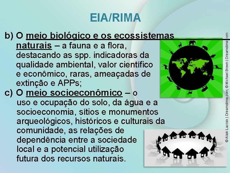 b) O meio biológico e os ecossistemas naturais – a fauna e a flora,