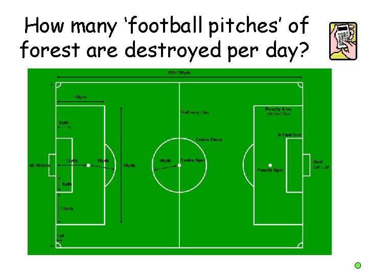 How many ‘football pitches’ of forest are destroyed per day? 