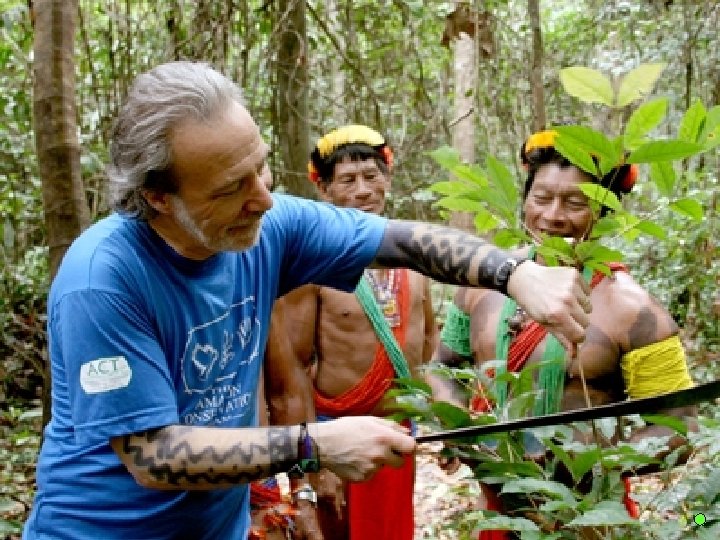 The people who live in the rainforest have much to teach us about rainforests.