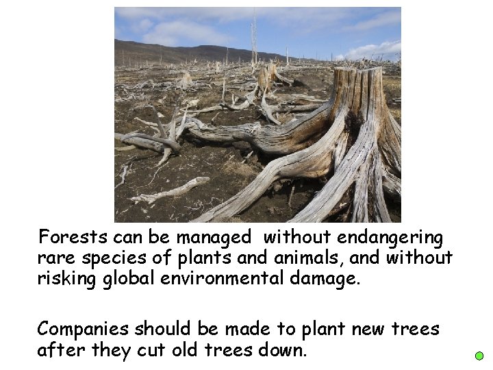 Forests can be managed without endangering rare species of plants and animals, and without