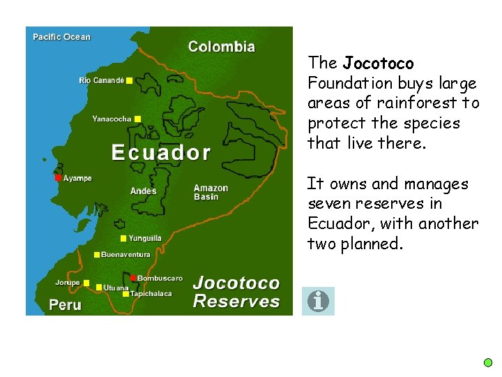 The Jocotoco Foundation buys large areas of rainforest to protect the species that live