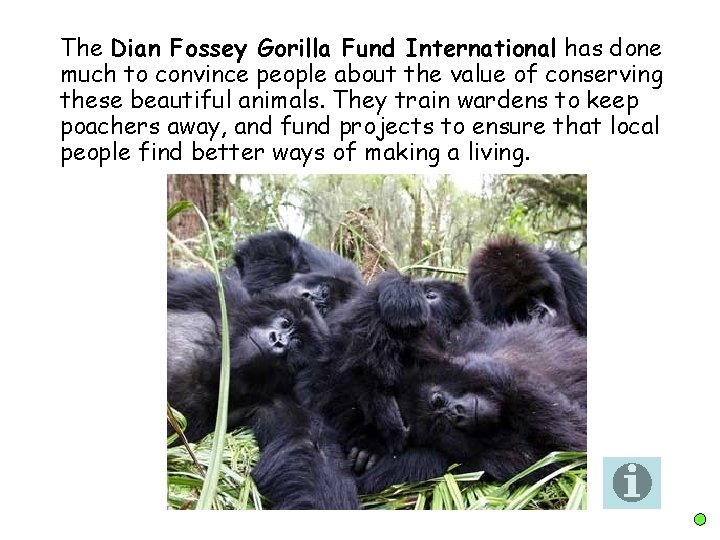 The Dian Fossey Gorilla Fund International has done much to convince people about the