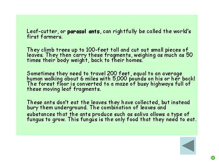 Leaf-cutter, or parasol ants, can rightfully be called the world’s first farmers. They climb