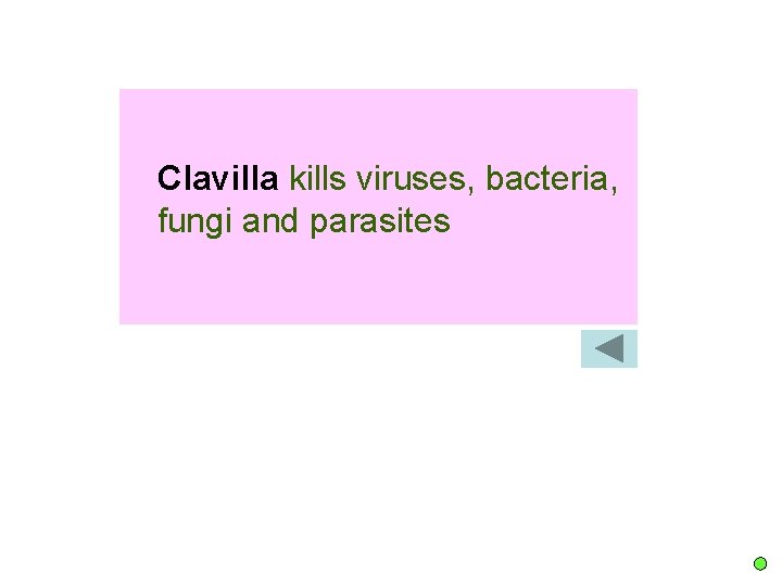 Clavilla kills viruses, bacteria, fungi and parasites 