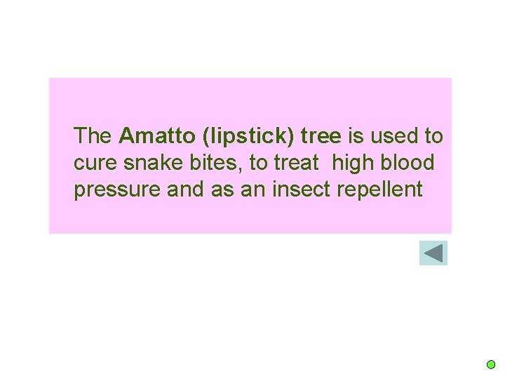 The Amatto (lipstick) tree is used to cure snake bites, to treat high blood