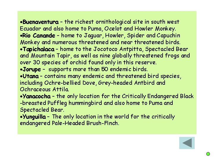  Buenaventura – the richest ornithological site in south west Ecuador and also home