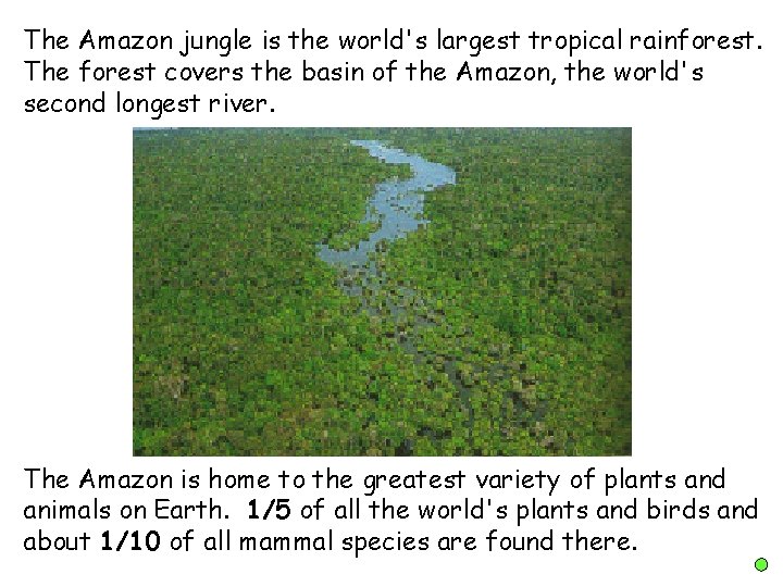 The Amazon jungle is the world's largest tropical rainforest. The forest covers the basin