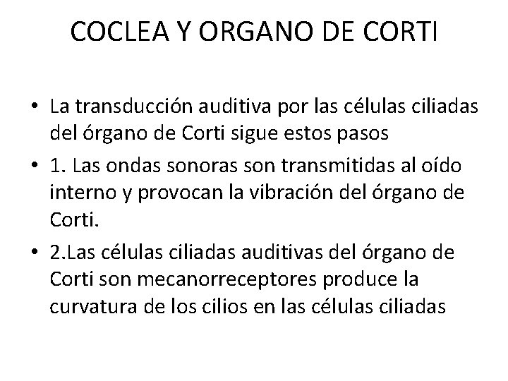 COCLEA Y ORGANO DE CORTI • La transducción auditiva por las células ciliadas del