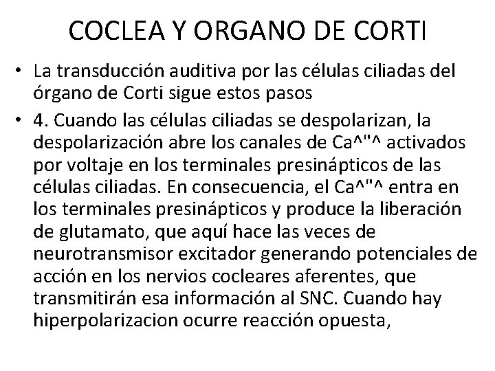 COCLEA Y ORGANO DE CORTI • La transducción auditiva por las células ciliadas del