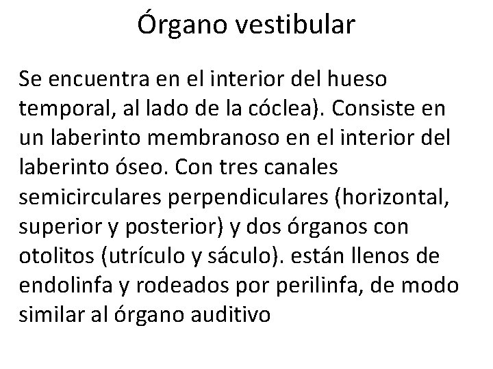 Órgano vestibular Se encuentra en el interior del hueso temporal, al lado de la