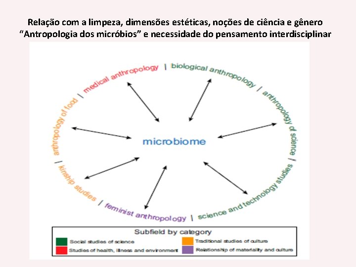 Relação com a limpeza, dimensões estéticas, noções de ciência e gênero “Antropologia dos micróbios”