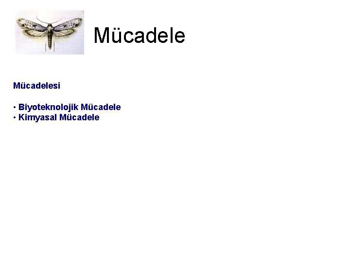 Mücadelesi • Biyoteknolojik Mücadele • Kimyasal Mücadele 
