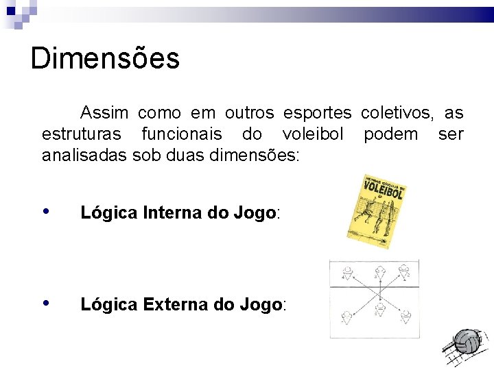 Dimensões Assim como em outros esportes coletivos, as estruturas funcionais do voleibol podem ser