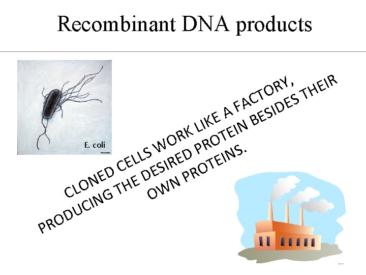 Recombinant DNA products , Y IR E R H O T T C S