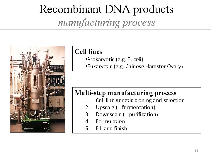 Recombinant DNA products manufacturing process Cell lines • Prokaryotic (e. g. E. coli) •