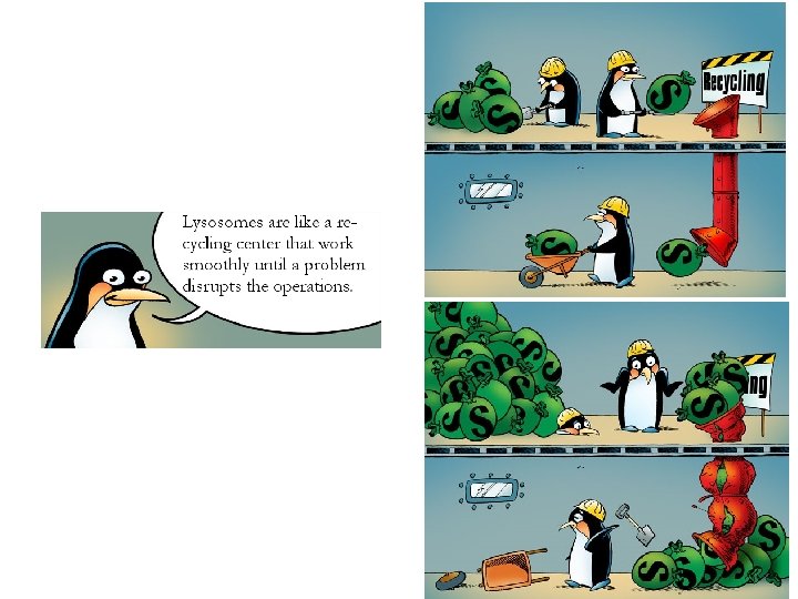 Source: International Society for Mannosidosis & Related Diseases 