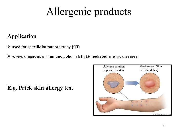 Allergenic products Application Ø used for specific immunotherapy (SIT) Ø in vivo diagnosis of