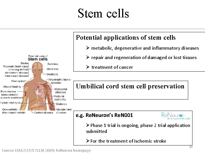 Stem cells Potential applications of stem cells Ø metabolic, degenerative and inflammatory diseases Ø
