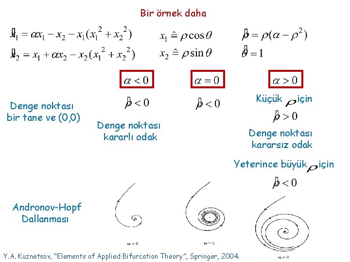 Bir örnek daha Denge noktası bir tane ve (0, 0) Küçük Denge noktası kararlı