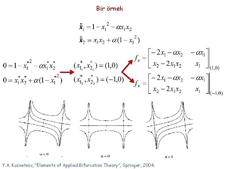 Bir örnek Y. A. Kuznetsov, “Elements of Applied Bifurcation Theory”, Springer, 2004. 