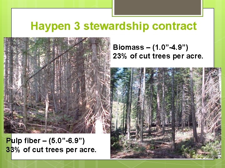 Haypen 3 stewardship contract Biomass – (1. 0”-4. 9”) 23% of cut trees per