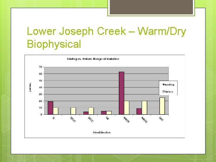 Lower Joseph Creek – Warm/Dry Biophysical 
