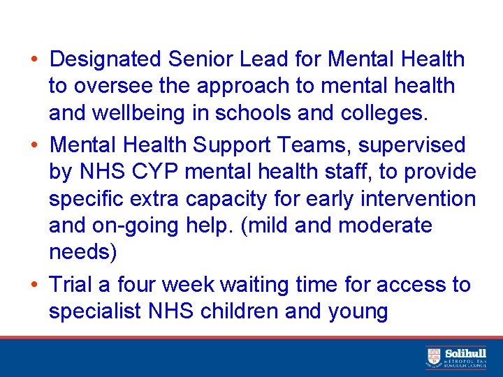  • Designated Senior Lead for Mental Health to oversee the approach to mental