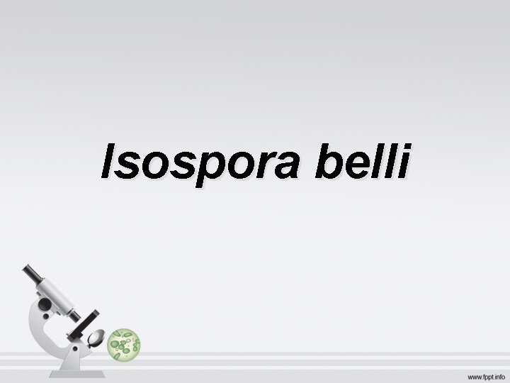 Isospora belli 