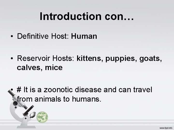 Introduction con… • Definitive Host: Human • Reservoir Hosts: kittens, puppies, goats, calves, mice