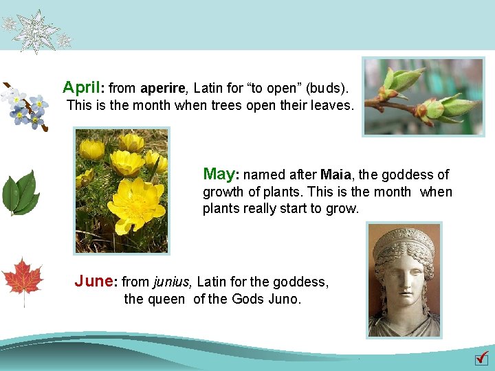 April: from aperire, Latin for “to open” (buds). This is the month when trees