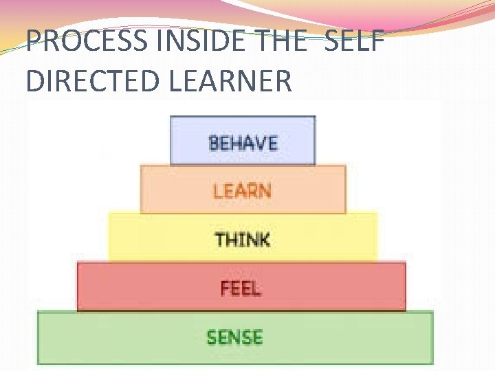 PROCESS INSIDE THE SELF DIRECTED LEARNER 