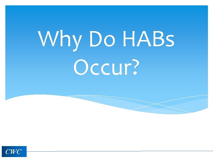 Why Do HABs Occur? CWC 