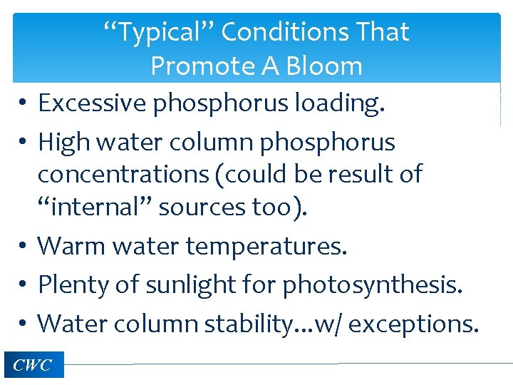 “Typical” Conditions That Promote A Bloom • Excessive phosphorus loading. • High water column