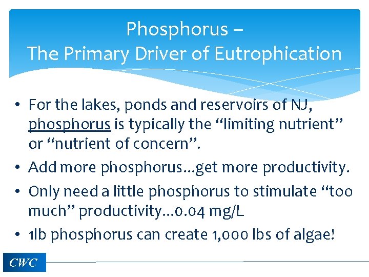 Phosphorus – The Primary Driver of Eutrophication • For the lakes, ponds and reservoirs