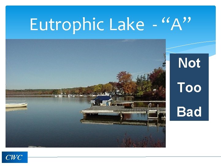 Eutrophic Lake - “A” Not Too Bad CWC 
